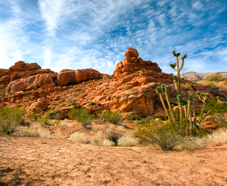 004 Virgin River AZ 4 Pano