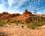 004 Virgin River AZ 4 Pano